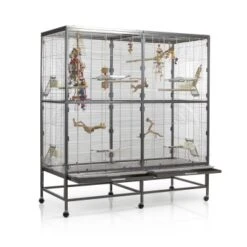 Montana Cages Voliere Paradiso 150 Hellgrau/ Dunkelgrau -Tierbedarf Rabatt Geschäft 57d765c5251d220f7fb80b9e17dd7c30bed7aa9a 1330426 de DE 32a0a07122e2d2167ed99c854ac82bd80c6ddd4fR7g0HT
