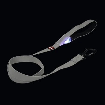 Dogs Creek Leuchtleine Polar Light 2 Dogs Creek Leuchtleine Polar Light – Bild 2