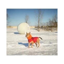 GF Pet Scout Jacke Rot XXS -Tierbedarf Rabatt Geschäft 5991967bf630a1f8d02726fdfd74663dc8e73701 0d63da1ea5654731f0cfde8666f379832b57508d