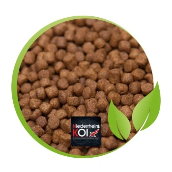 KENKOU JUMBO 5 Kg 2 KENKOU JUMBO 5 Kg – Bild 2