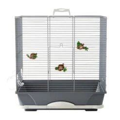 Savic Vogeltransportbox Primo 40 6 Savic Vogeltransportbox Primo 40 -Tierbedarf Rabatt Geschäft 59e86ce78101f4832adb5f83b8ca56a73e62ea75 42fcb9947724a730039244485b4d3f07b4c79143