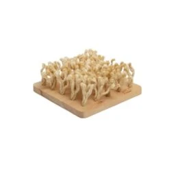 Bunny Schnüffelbrett