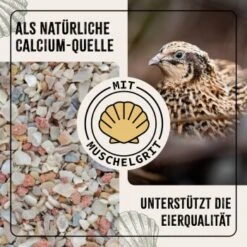 Aniforte FarmLife Wachtel Futter Müsli 5 Kg -Tierbedarf Rabatt Geschäft 5c64a4834b1d5c3d770afbb8fa837de973642f64 1496424 de DE a999ac4c5a047c143d0ce2e685e5a1524cb2bee3YW5heI