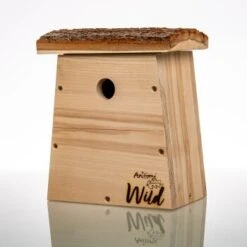 Aniforte Wild Nistkasten Für Kohlmeisen