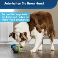 PetSafe Elektronisches Hundespielzeug Ricochet -Tierbedarf Rabatt Geschäft 5eadda9b8e1c472d17e8160a968897c5f1589a26 1418724 de DE f0080b3bce77c44349e2b70b9453ceaf44e2d3d6nqnVTG