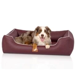 Knuffelwuff Orthopädisches Hundebett Aus Kunstleder Lovelock Bordeaux M-L -Tierbedarf Rabatt Geschäft 6255a556979a4796fcbc28c238da9224cfb8661f 1412201 de DE 815d50cee4eb3eb78e6ede8d498a09045e4968f0ueFgBo
