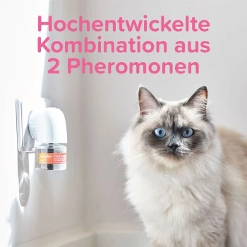 Beaphar CatComfort Excellence Nachfüll-Flakon Für Verdampfer 7 Beaphar CatComfort Excellence Nachfüll-Flakon Für Verdampfer – Bild 7