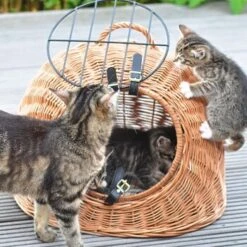 Aumüller Rattanhöhle Gesottene Weide 6 Aumüller Rattanhöhle Gesottene Weide -Tierbedarf Rabatt Geschäft 644da56b8da52f185185b101fb3460690748ee17 ed38553d0e52453b951e62f08b371eb8a64cf3ed