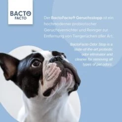 ChronoBalance BactoFacto Probiotischer Geruchsstopp Pads Für 2 Liter 20 Ml 9 ChronoBalance BactoFacto Probiotischer Geruchsstopp Pads Für 2 Liter 20 Ml -Tierbedarf Rabatt Geschäft 6515b6e6800e68909a0a5f7e0f816613e8c36542 1397549 de DE 9a466fcf5c88e78df191b07c6d764f4746df49dcxtsIbT
