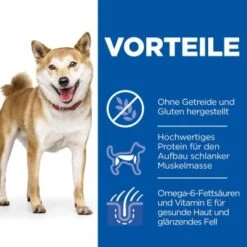 Hill's Science Plan No Grain Adult Medium Ohne Getreide Geflügel 14 Kg 7 Hill's Science Plan No Grain Adult Medium Ohne Getreide Geflügel 14 Kg -Tierbedarf Rabatt Geschäft 6586ae1353ed3462827033edbfb4d437c174d59b 52742037080 4