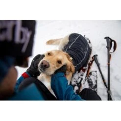 Ruffwear Cloud Chaser™ Hundejacke Schwarz XXS -Tierbedarf Rabatt Geschäft 663863851733872c9a7a7a5137c57cadf708e304 1369623 de DE 51d1c132eb566a7eb9e278708f64567d4e47a10eLvqV28