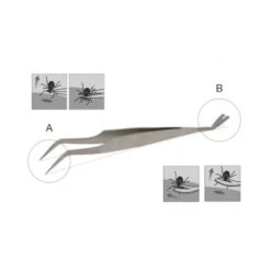 Lills Zeckenzange Aus Edelstahl -Tierbedarf Rabatt Geschäft 666f3a3fb181b232ac8339dfb19af759aa845978 1488086 de DE f0e508c7b7855d95e1b35fa6dabdb0d0ba4555f76ECWsn