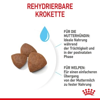 ROYAL CANIN Medium Starter 15 Kg 3 ROYAL CANIN Medium Starter 15 Kg – Bild 3