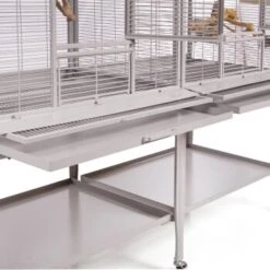 Montana Cages Vogelkäfig New Madeira Double Hellgrau -Tierbedarf Rabatt Geschäft 66c0dca383fd939e3e17589fd8adf85fa330e942 1021213 de DE 7118aa271d7e128bcbb8b790b20ec380366cfb4e22B6oU