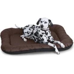 Knuffelwuff Wasserfestes In Und Outdoor Hundebett Lucky Aus Nylongewebe Braun L -Tierbedarf Rabatt Geschäft 6783d4b4486968313387c4f84d58f43745f1a98a 1412280 de DE c74c650ca2b7e352a27e1b6a3687896ed8227503mfmsuV
