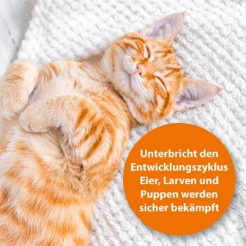 Ardap Langzeit Flohspray Für Die Umgebung 500ml 2 Ardap Langzeit Flohspray Für Die Umgebung 500ml – Bild 2