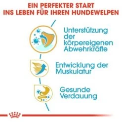 ROYAL CANIN Boxer Puppy 12 Kg -Tierbedarf Rabatt Geschäft 688da358c7c13e34db44e38709f501f61e164dee b934048524a4df1f17cf77c3abbb472833d5297e