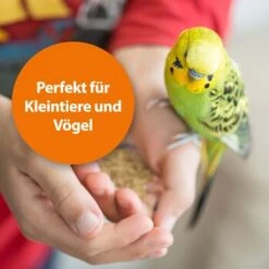 Ardap Milben- Und Zeckenspray Für Nager Und Vögel 100ml -Tierbedarf Rabatt Geschäft 68a588b27c2bdeb958613c196e70f41522c1ca73 1352522 de DE 1626057c073e83595c48b5e38365b5bb10e0c4acyC8yCA