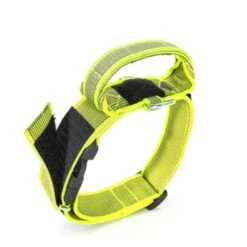 Julius K9 JULIUS-K9 Halsband Mit Griff 50mm Neon Gelb -Tierbedarf Rabatt Geschäft 6d974eed80600aae5610e6f937ce73cb97345cc1 1346788 de DE K9 3
