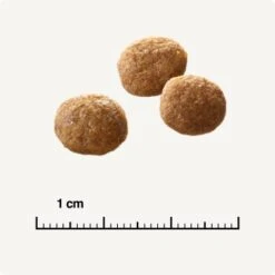 SELECT GOLD +12 Senior Geflügel & Reis 2,5 Kg -Tierbedarf Rabatt Geschäft 6db53d99e99530132bf34d8482d69f423780c004 1081823016 de DE 6