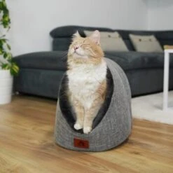 Schlitzohr Katzenhöhle Oskar Grau -Tierbedarf Rabatt Geschäft 6dc322d0c0c691311c750126461acbb0bfd7f106 1484676 de DE cf48f7f4d140da3e59fb3189e3029debd29d4937tKSJNT