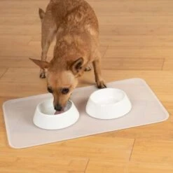 KaraLuna Basic Napfunterlage Transparent S -Tierbedarf Rabatt Geschäft 6f92b46b9666870298738b4bee75a50ee534fac6 1407499 de DE 14497c23a79b7136237df13f9c32b5ed84fd5ff04vyZgl