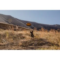 Ruffwear Hover Craft™ Spielzeug Orange -Tierbedarf Rabatt Geschäft 7111f12b44323f3d6c15a85a889225520ab85f0d 1364297 de DE 664accd36f55b32e3ca302e20a868b09c8c0d85ePbTUSI