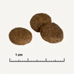 REAL NATURE Country Selection Senior Alpine Truthahn & Alpenrind 12 Kg 12 REAL NATURE Country Selection Senior Alpine Truthahn & Alpenrind 12 Kg -Tierbedarf Rabatt Geschäft 753a4bdf08271c904717a55ecd12284d07a07842 1325174 de DE 6