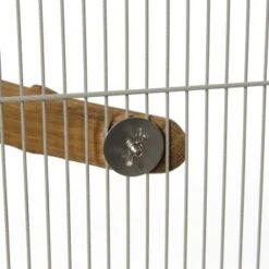 HappyBird Eck-Sitzst Rainforest Corner Perch XL -Tierbedarf Rabatt Geschäft 75e6d54575ca8b2892a75de8459fb2337e93d6fa 1416836 de DE 6c69ea675004293917d32ca895518145a4e02fa1ona8CG