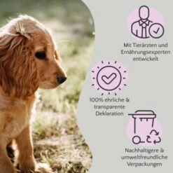 FAVLY Petfood FAVLY Probierpaket "Snack It" -Tierbedarf Rabatt Geschäft 76de882c7775b6f702fd4d6da347da46c83b7668 1475299 de DE 908544d2c24927cde4ce8f1acefe41ebea7bec29ERVYJt