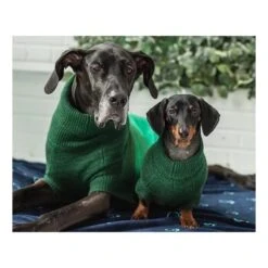 GF Pet Trail Pullover Forest Grün XXXS -Tierbedarf Rabatt Geschäft 779f298087cae5c721d39d0e409ff830d9702e07 51764b41ec1e519efc4e7ae3561161e25d618dc0