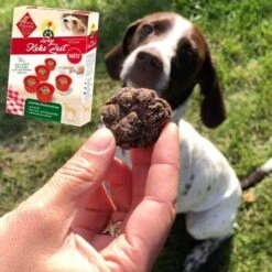 ChronoBalance Backmischung Für Hundekekse Getreidefrei + Form Mit Apfel & Dinkel 13 ChronoBalance Backmischung Für Hundekekse Getreidefrei + Form Mit Apfel & Dinkel -Tierbedarf Rabatt Geschäft 791cb4d2028c3feba1e17eb7afcd1dc0477a3e51 1409548 de DE 8fa4e8db7b8a77ca60b4ef08f2d4cbbb72f1ad0bO5ya0q