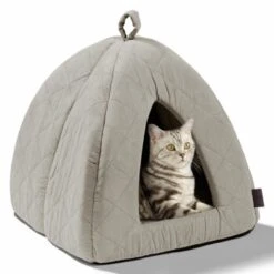 MORE Höhle Diamond 23 MORE Höhle Diamond -Tierbedarf Rabatt Geschäft 7939acaef98cdb9195a642e4ff359691740fc0e9 84dbe0d60d2ca1e5170055a2164cc0d47aaedf72