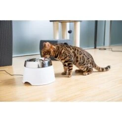 AniOne Edelstahl-Trinkbrunnen Trevi Ohne Ersatzfilter -Tierbedarf Rabatt Geschäft 7a066af048695bbfaeca0a855e5984fc3bf99d03 689fcf415d486ac05c07f2a4868b1d087d7a9ece