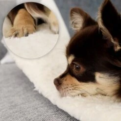 Lionto Selbstheizende Wärmematte Für Haustiere -Tierbedarf Rabatt Geschäft 7b7478322070a88393ca3a5ce3bc6fc7dc82a6ad 1665986 de DE 051d4bf94c6c9b490452613e4a20003dcd71ba8cXGeo9D