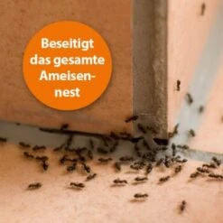Ardap Ameisen Streu- Und Gießmittel M -Tierbedarf Rabatt Geschäft 7c1342b94b6d1fe4fc4b1178aecb987bd2fd358a 1235785 de DE 1fa664363689dffabd425f2a04fefd2d06574cfa2OrTdI