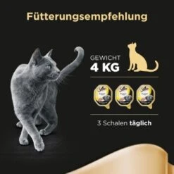 Sheba Delikatesse In Gelee 22x85g Huhn -Tierbedarf Rabatt Geschäft 7d0c61cee00487eaa7204e4ee0e0cb29425d4a1a 53fe67de08e8358e9fe1bb0859111ef670e81b29