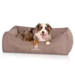 Knuffelwuff Orthopädisches Hundebett Mit Fächer-Wendekissen Baltimore Beige M-L 9 Knuffelwuff Orthopädisches Hundebett Mit Fächer-Wendekissen Baltimore Beige M-L -Tierbedarf Rabatt Geschäft 7db3e1a0c07b06fbbffb9c499d68b8d29fe02a5d 1412225 de DE 96b0dc269c57c45d2a760eeab3915071ac28fc79GWqBkT
