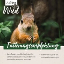 Aniforte Eichhörnchenfutter 1 Kg -Tierbedarf Rabatt Geschäft 7f73354bcb021e39248f5969efdc2ec1bb139b57 1472622 de DE 16db3f538f09bf1ee026ff31ba098faa34552b8192Yma4