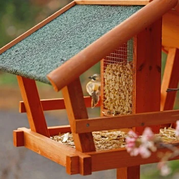 Lionto Vogelhaus Mit Futtersilo 3 Lionto Vogelhaus Mit Futtersilo – Bild 3