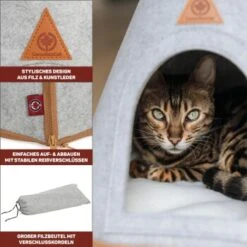 Canadian Cat Company Katzenzelt Cone -Tierbedarf Rabatt Geschäft 809a3c44a93f6813e3f594a392c884994f2cb8be 1394210 de DE c6578ffbb5eb34e2b0106dd76bcafeaede82606a8Hawov