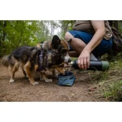 Ruffwear Great Basin™ Napf Schieferblau S -Tierbedarf Rabatt Geschäft 824b44ccf17c67c3dd43e5523941633c95efed85 1651551 de DE fad827ec7223895423979e3215d64ffaeae47c26HGRUuZ