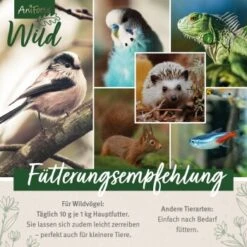 Aniforte Wild Soldatenfliegenlarven 800g -Tierbedarf Rabatt Geschäft 82816c07a7d8f858db2c0bda10accc43bc855928 1659553 de DE f89e8cb412293d454f593b937e30de062cfcf8bc6nYyf5