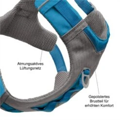 Kurgo Journey Air Hundegeschirr Blau/ Grau L -Tierbedarf Rabatt Geschäft 84d80a79aa422734411f8619c841305d3e00d625 1353742 de DE 3fabfe4a24db956b94d923fbc43f7508e35d240eXTPzAS