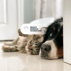 KYVETIN Spray Skin Repair Für Hunde Und Katzen 14 KYVETIN Spray Skin Repair Für Hunde Und Katzen -Tierbedarf Rabatt Geschäft 851cbfa418e315e47d7ba499ec62be71e3229497 1364195 de DE KyvetinSpray 7