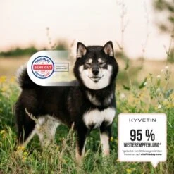 KYVETIN Spray Skin Repair Für Hunde Und Katzen 12 KYVETIN Spray Skin Repair Für Hunde Und Katzen -Tierbedarf Rabatt Geschäft 855eb3c7fca7c841451cde094ef9ccbea4bfbca8 1364195 de DE KyvetinSpray 5