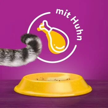 Whiskas 1+ Adult Huhn 7 Kg – Bild 4