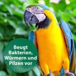 Quiko Med V Liquid 100 Ml: Mit Hochwertigem Oregano-Öl Für Ziervögel -Tierbedarf Rabatt Geschäft 88a4d869da906e8aaa1074413d2b5765c37fe51c 1387820 de DE 18f5cb5cc5b0a1074c44f20b530fefedca292a50auwynr