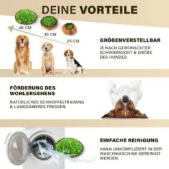 URBAN PAUL Schnüffelteppich - Grün -Tierbedarf Rabatt Geschäft 88b1e83589eb6f9b9d6ae1ee9e00f76cd280ec72 1477263 de DE c4a0dff3ce61eff6f47a9625e837cb3fb18e27168j8mOa