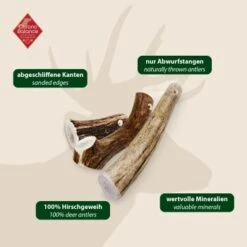 ChronoBalance Geweih Ganz (M) 2er Paket -Tierbedarf Rabatt Geschäft 88cd768ead66d50ca94cd026cae2dd90ff072241 1418691 de DE 97f6faa2e066481717c6e9970bb381a3824303b8mFGeGe